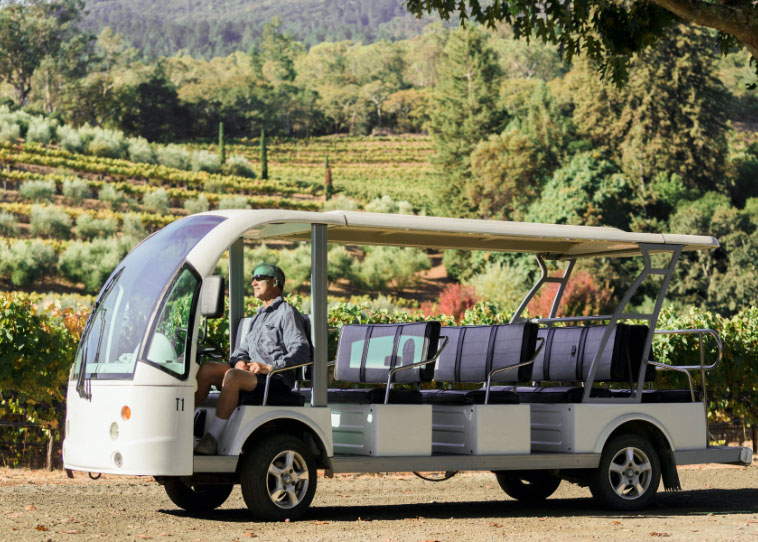 Vineyard Tours
